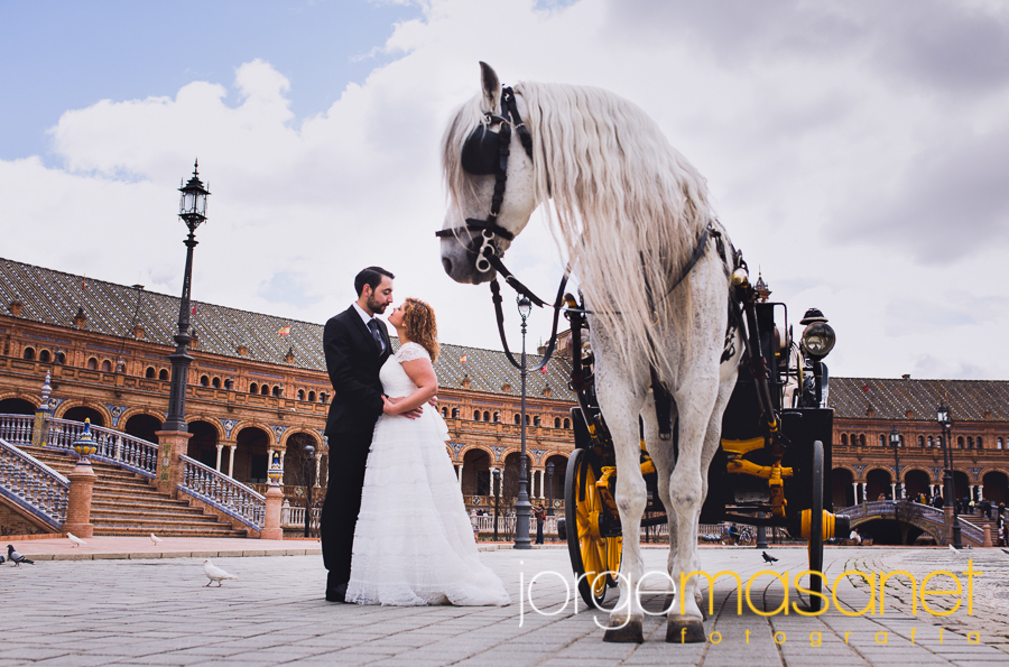 _MG_9509-Editar